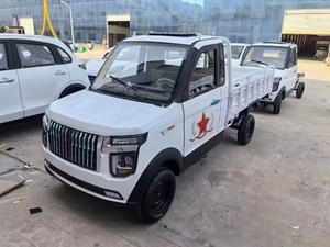 Nuovo Veicolo Elettrico Compatto ed Economico: Furgone e Pickup Elettrici Potenti - Product Image 5