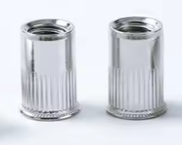 Chine fabricant 304 acier inoxydable Revet Rivet écrou en acier au carbone bande plate trou aveugle isolant rivière ancres de cloison sèche