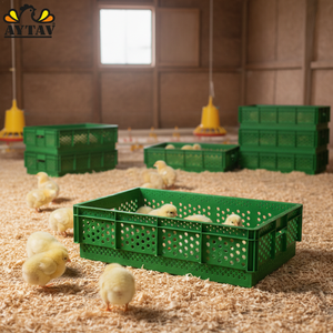 AYTAV Compartment Chick Box PE Material Poultry Cage Farm Use Broiler Chicken Coop New 82 Chick Capacity 1 Year Warranty All - Product Image 3