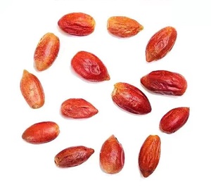 Trang trại cung cấp bán buôn Miracle Berry chiết xuất đông khô Miracle trái cây - Product Image 1