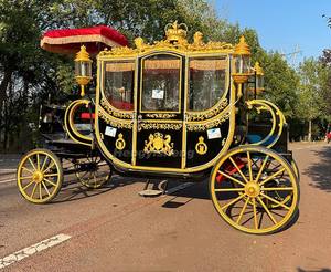 Carroza Eléctrica de Transporte Especial OEM, Modelo 2026, la Más Vendida, Tipo Limusina, con Diseño de Carruaje Real - Product Image 1