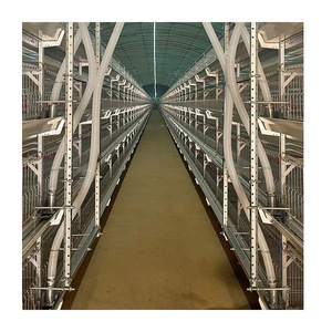 Nouvelle cage <span class=keywords><strong>à</strong></span> poulets automatique de type H pour poussins d'un <span class=keywords><strong>jour</strong></span>, avec une durée de vie de 15 <span class=keywords><strong>à</strong></span> 20 ans - Product Image 5