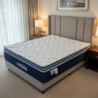 Matelas de luxe Queen King en tissu soie glacée bleu foncé, mousse à mémoire de forme compressée de 35 cm, matelas à ressorts ensachés en tissu rafraîchissant de 14 pouces