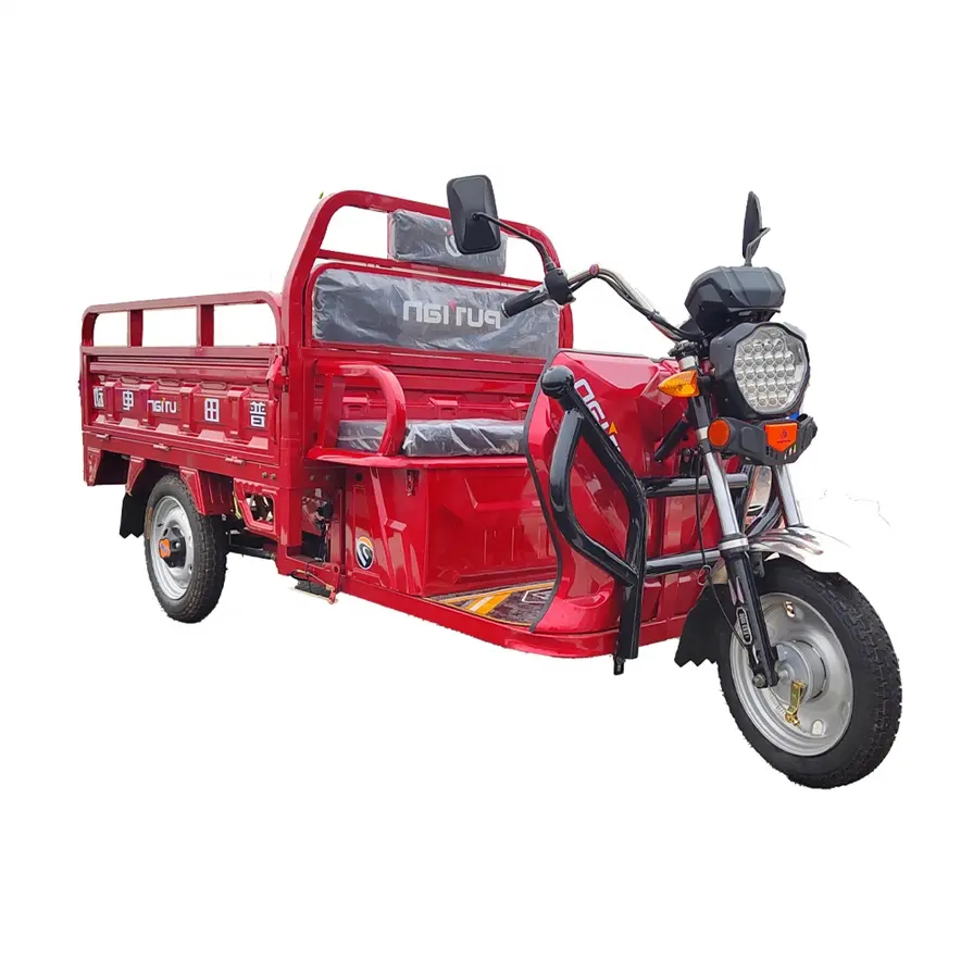 Batería eléctrica gigante y cargador, triciclo de 48V, 70Ah, venta directa de fábrica