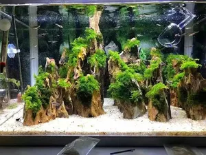 Aquamarijn Landschap Dragon <span class=keywords><strong>Stone</strong></span> Rots <span class=keywords><strong>Aquarium</strong></span> Vis <span class=keywords><strong>Aquarium</strong></span> Decoratie Dennen Steen - Product Image 2