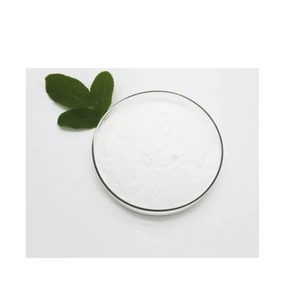Poudre de Bifidobacterium Longum, poudre de culture bactérienne probiotique pour la fabrication d'ingrédients nutritionnels et de compléments alimentaires - Product Image 2