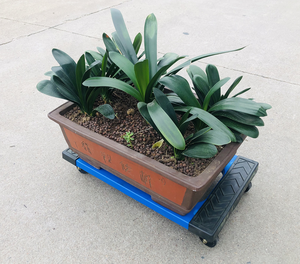 Chariot à roulettes en polypropylène léger, grande capacité, prix avantageux, déplacement fluide dans toutes les directions, capacité de 660 lb, pour le transport du bois - Product Image 6