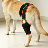 Nouvel Arrivage – Manchon de Compression Respirant et Élastique pour Chiens, Soutien Ajustable pour la Récupération des Blessures et les Luxations Articulaires