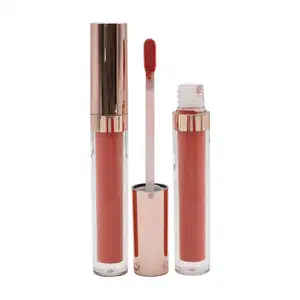 Lipgloss Matte 24 warna, Lip Gloss ringan beludru tahan lama Makeup massal Label pribadi 24 warna