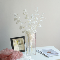 Feuille d'oranger éternelle, fleur séchée et préservée, matériel de bricolage, décoration de la maison, arrangement, mini bouquet, Saint-Valentin, fête des mères