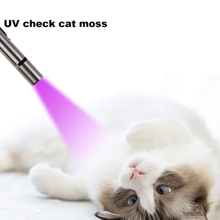 UV Light and LED Flashlight cat interactive toy pen light portable pet training tool laser pointer