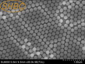Perles magnétiques treptavidinées à haute capacité d'adsorption pour la capture de molécules biotinylées et les applications IVD - Product Image 6