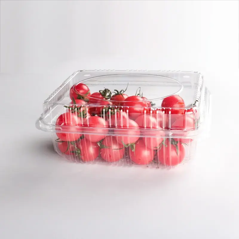 Plateau PET jetable transparent de haute qualité pour les bleuets de tomates pour le marché