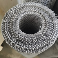 Maille décorative en métal déployé en acier inoxydable de 1mm 1.2mm 1.5mm pour l'architecture