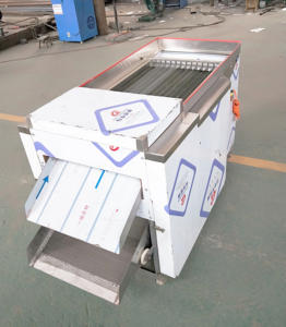 Máquina para Eliminar Semillas de Pimiento de 500-700 kg/h, Cortadora de Chiles Secos - Product Image 4