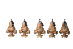 Régulateur de pression hydraulique à action directe OEM personnalisé en laiton forgé avec diaphragme en bronze phosphoreux 600 PSI - Product Image 3