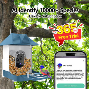 Dispositif intelligent d'observation des oiseaux Mangeoire pour oiseaux sauvages en plein air Mangeoires pour oiseaux pour l'extérieur avec vision nocturne plus claire à énergie solaire - Product Image 4