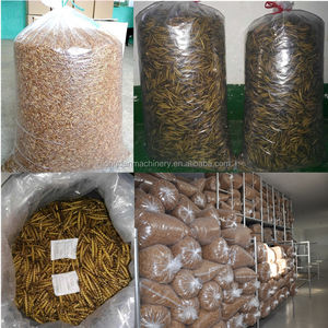 Séparateur automatique de larves de vers de <span class=keywords><strong>farine</strong></span> jaune Équipement agricole d'élevage de vers de <span class=keywords><strong>farine</strong></span> Machine de criblage de vers de <span class=keywords><strong>farine</strong></span> jaune - Product Image 4