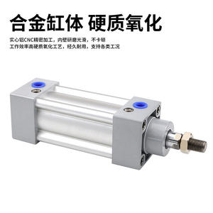 Cylindre pneumatique standard SI80*25*50*75*100*125*150*175*200*250-S - Product Image 2