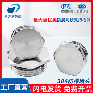 Eight Directions 304 Stainless Steel Explosion Proof Plug Threaded 6 In Electrical Wire Protection Conduit Fitting - Product Image 5