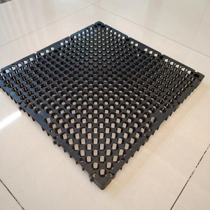 Cellules de drainage en <span class=keywords><strong>nid</strong></span> <span class=keywords><strong>d</strong></span>'<span class=keywords><strong>abeille</strong></span> imperméables pour l'aménagement paysager des zones de villas, les toits et les dalles de sous-sol, 30 mm <span class=keywords><strong>d</strong></span>'épaisseur, 500*500 mm - Product Image 1
