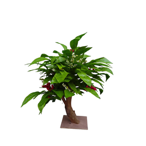 <span class=keywords><strong>Albero</strong></span> di Caffè Artificiale Decorativo per Caffetterie - Product Image 4