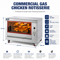 Machine à rôtir le poulet au gaz de 28000 BTU, certifiée CE, fabriquée en Chine, à poser sur table, en vente