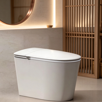 WC intelligent à chasse automatique populaire, système double eau, étanche IPX4, siège à fermeture lente, drainage personnalisé pour la rénovation d'appartements