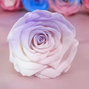Оптовая Продажа с фабрики синий и белый градиент цвета сохраненный цветок «сделай сам» цветочный материал бессмертная Роза