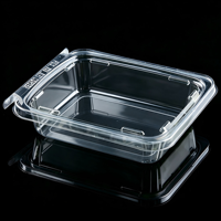 Conteneur en PET à clapet, écologique, sans BPA, recyclable, de qualité alimentaire, inviolable, empilable, robuste, pour sushis