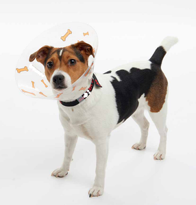 Collier de récupération de chirurgie anti-morsure à bord souple réglable classique pour chiens Pet <span class=keywords><strong>Elizabeth</strong></span> Pet Colliers - Product Image 1