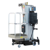 Chariot élévateur portable en aluminium à double mât Vente en gros