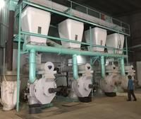 Machine à granulés de bois biomasse certifiée CE 300 kg/h, commande PLC, haute efficacité, entraînement par engrenages, moulin à granulés de sciure, moteur en acier inoxydable