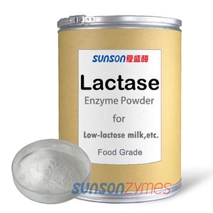 Poudre d'Enzyme Lactase pour la Réduction du Sucre Ajouté dans une Large Gamme de Produits Laitiers - Product Image 1