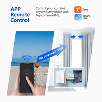 Interrupteur de rideau intelligent Wifi RF433, commande vocale, compatible Google Home Alexa, pour interrupteur à enrouleur intelligent, norme européenne