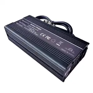 600W pin sạc 5S 15V 16V LiFePO4 pin sạc DC 18V/18.25V 25A 30A cho Ebike/điện xe nâng Pin gói