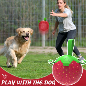 KINYU PU çevre dostu katı desen köpek interaktif top açık egzersiz ve sıkıntı kabartma için oyuncak Tugging - Product Image 2