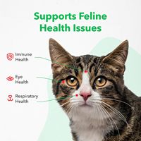 Friandises à mâcher anti-puces et tiques pour chatons et chats adultes OEM/ODM - Approuvées par les vétérinaires, soutien immunitaire sûr, huile de coco et calcium, 2,5 kg, friandises molles