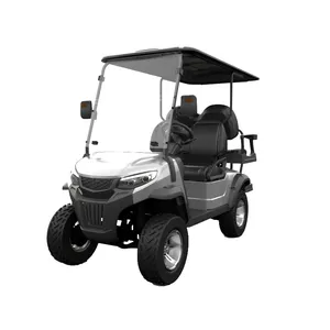 ホット販売高品質ゴルフカー22席電動ゴルフカーPREDATOR H2 + 2リチウムゴルフカート
