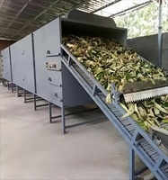 Séchoir à bande transporteuse industriel pour herbes, épices, légumes, fruits et matières agricoles