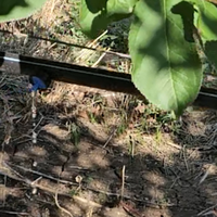 Irrigateur goutte-à-goutte NESTOS - Aquaponie Hydroponie Écologique Polypropylène 4L/H Automatique Application Rapide Multi-saison Robuste