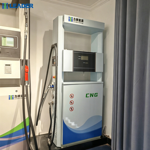 LEADER ENERGY Nuovo Design Distributore di Gas CNG a 1-2 Tubi con 1 Display, Stazione di Rifornimento Gas CNG per Casa - Product Image 5