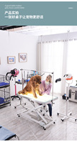 MT Table de toilettage électrique élévatrice pour animaux de compagnie avec lumière LED Table de toilettage pour hôpital ou animalerie Offre Spéciale