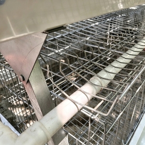 Attrezzatura Automatica per Allevamento di Galline Ovaiole: Gabbie in Acciaio Zincato per Pollai, Vendita Promozionale - Product Image 6
