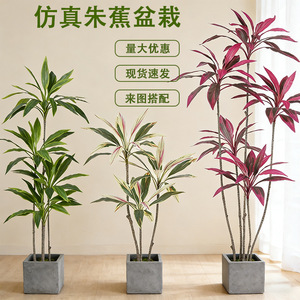 Plante artificielle Cordyline Bonsai Dream Castle 30-100cm, décoration pour salon ou bureau - Product Image 1