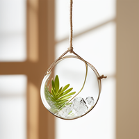 CR038 nouvelle mode ouvert goutte Globe conteneur haute qualité cristal plantes Pot pour la décoration de la maison et du bureau