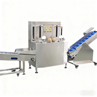 Qdmech Professionele Commerciële Roestvrijstalen Automatische Groene Kokosschilmachine Kokosnoot Dunschiller Voor Verkoop
