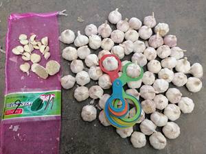 Trung Quốc Bán Hot New Tỏi Chất Lượng Hàng Đầu Và Giá Tốt Nhất Mua Trung Quốc Tỏi 1Kg 5Kg 10Kg Tỏi Hộp Giá Cho Bán - Product Image 5