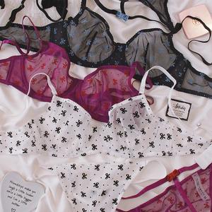 Ensemble de lingerie brodé à motif nœud papillon, nouveau style, vente en gros, haute qualité, transparent, deux pièces - Product Image 5