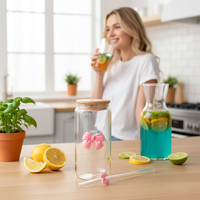 Mug en verre réutilisable de 16 oz pour boissons, verre canette de bière, verre à jus, gobelets de restaurant avec couvercle en bambou et pailles